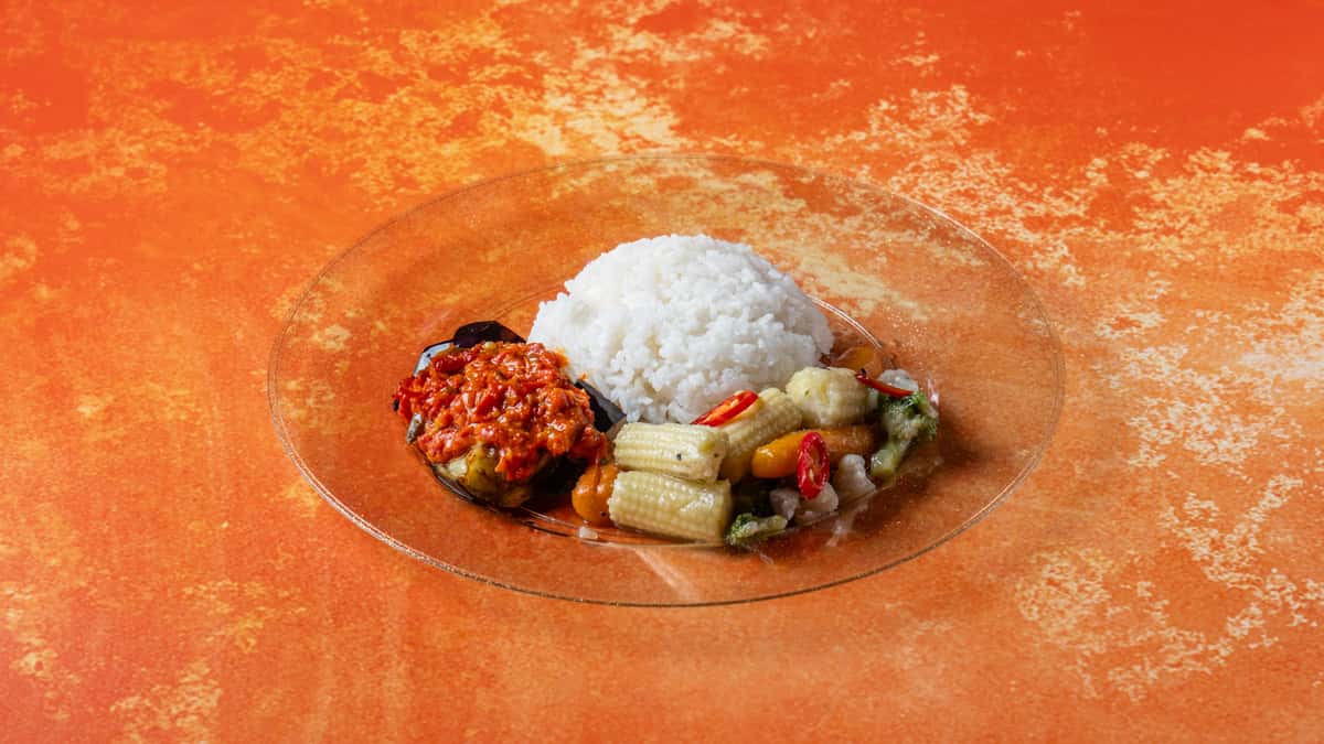 Authentic Malaysian rice plate with white rice, sambal, mixed vegetables, and traditional side dishes served on a vibrant orange backdrop.