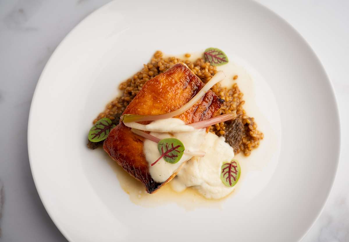 Seared Scottish Salmon at 360 Bistro