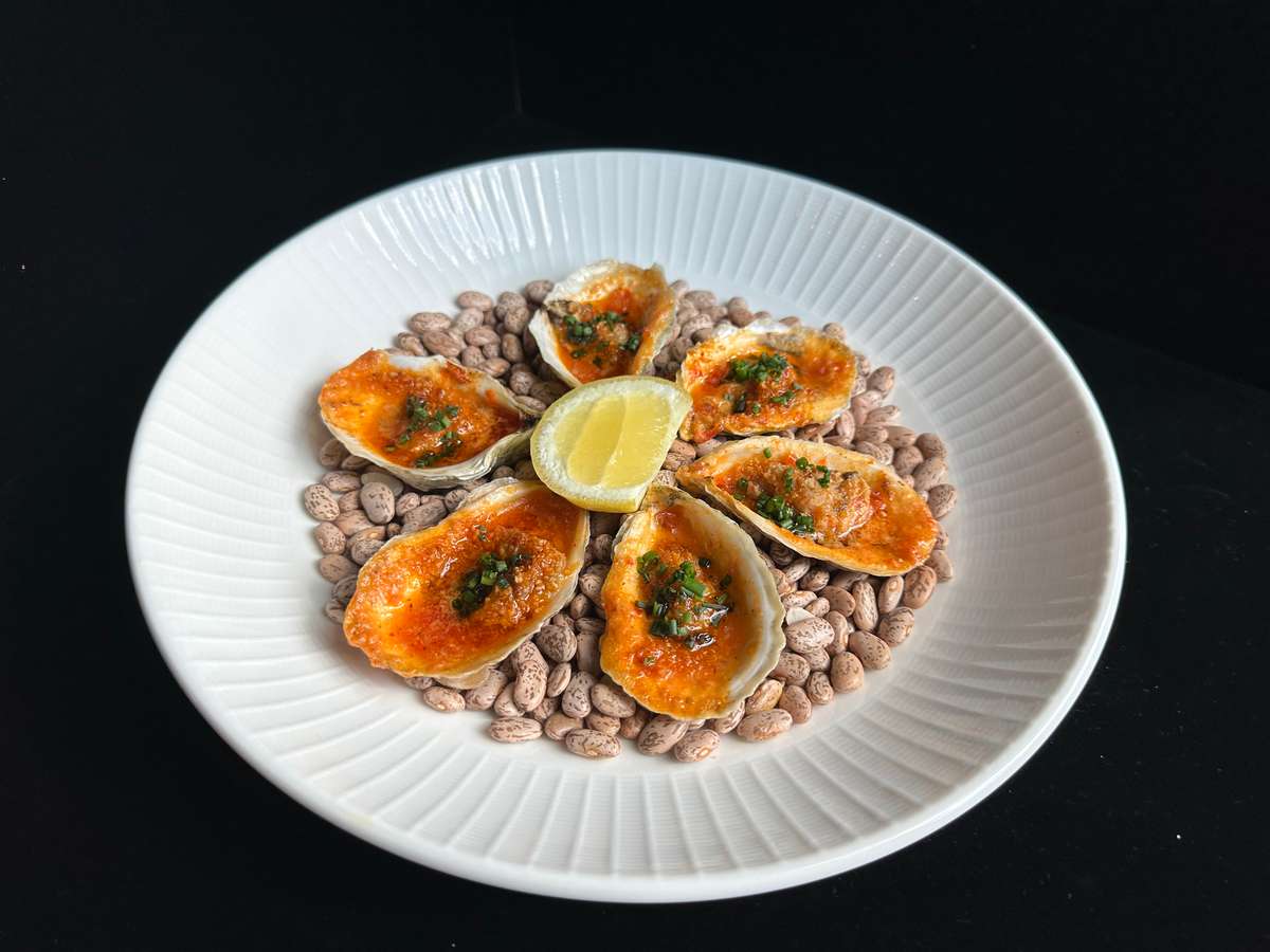 oysters