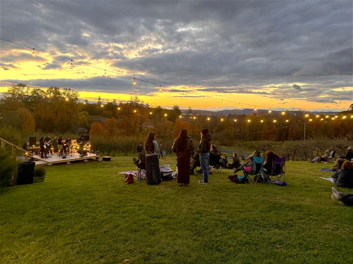 Live music on the lawn