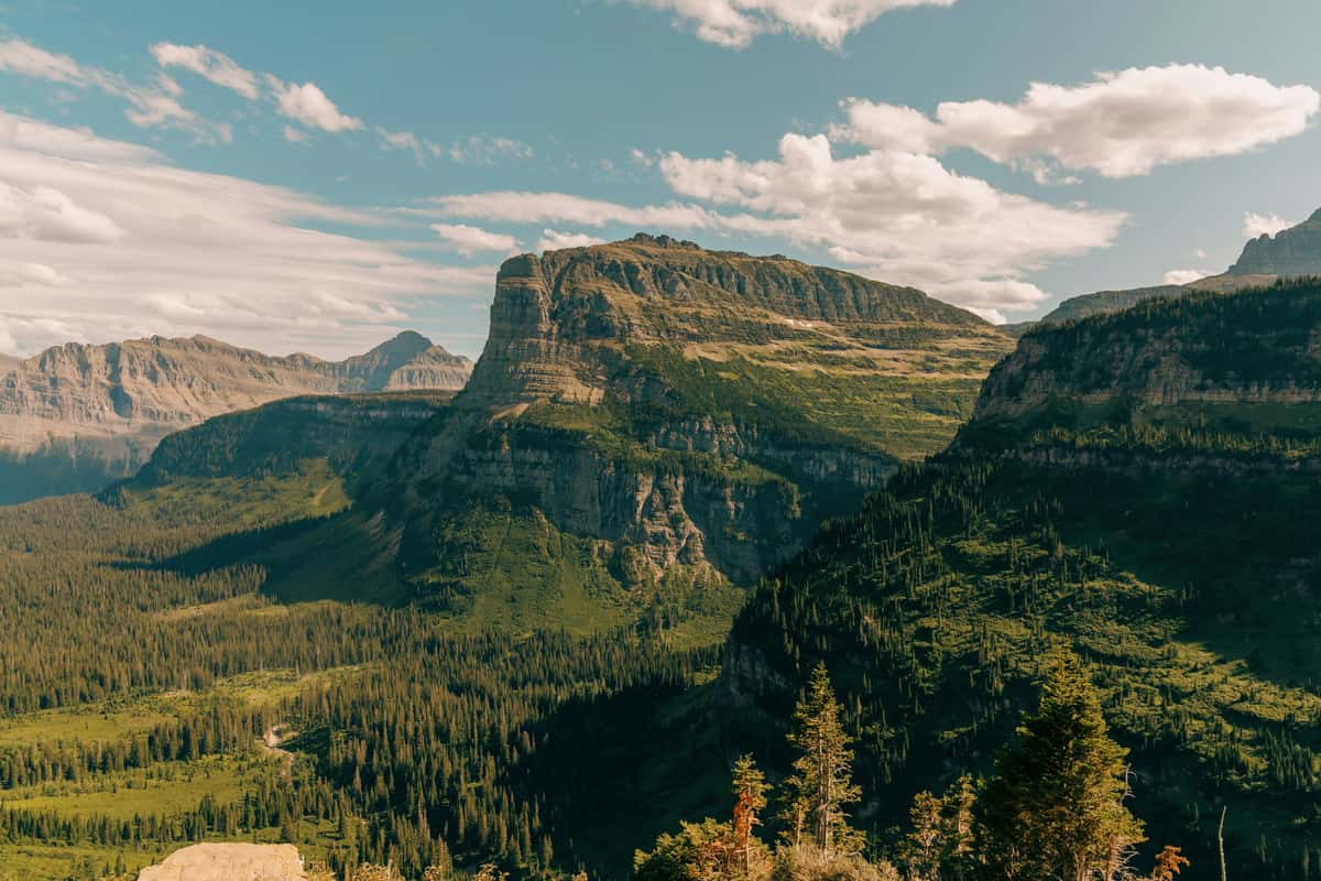 Montana
