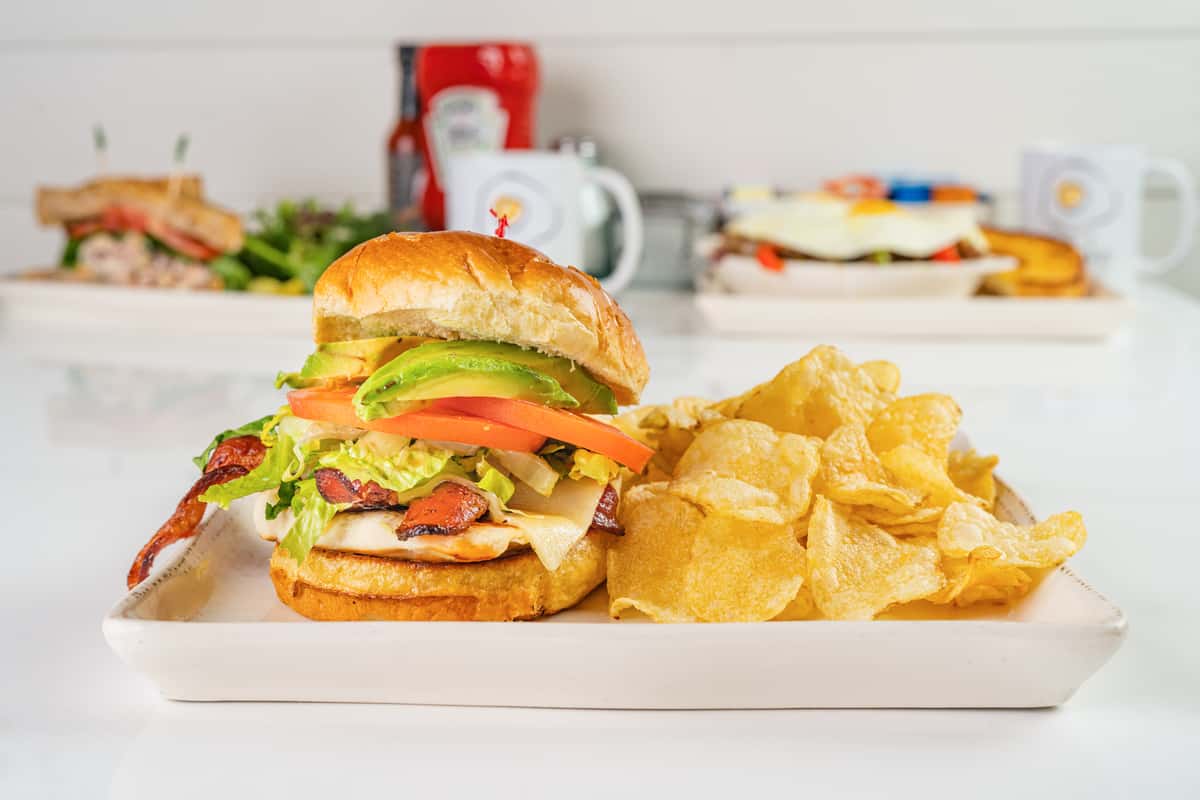 Chicken sandwich with salad and chips