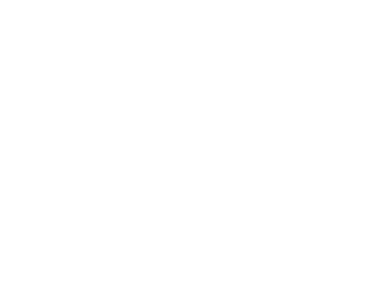 breakwall logo