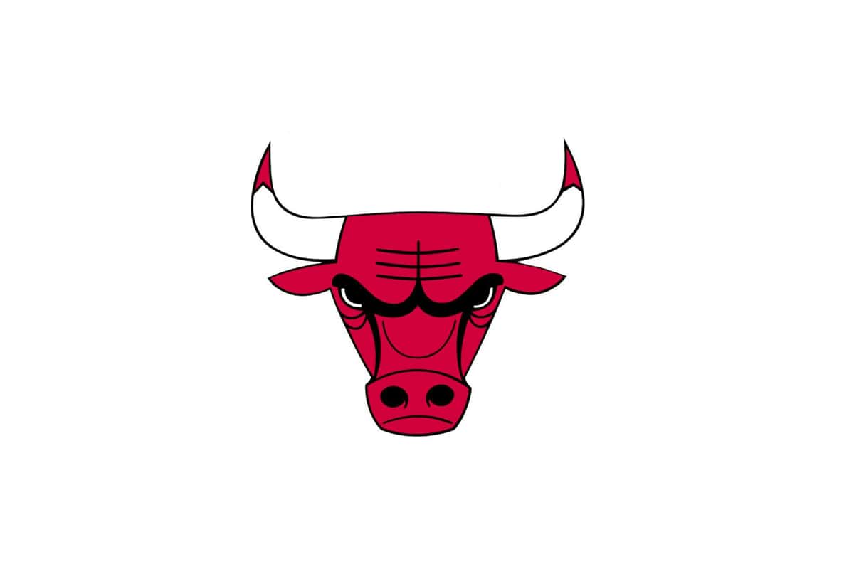 bulls