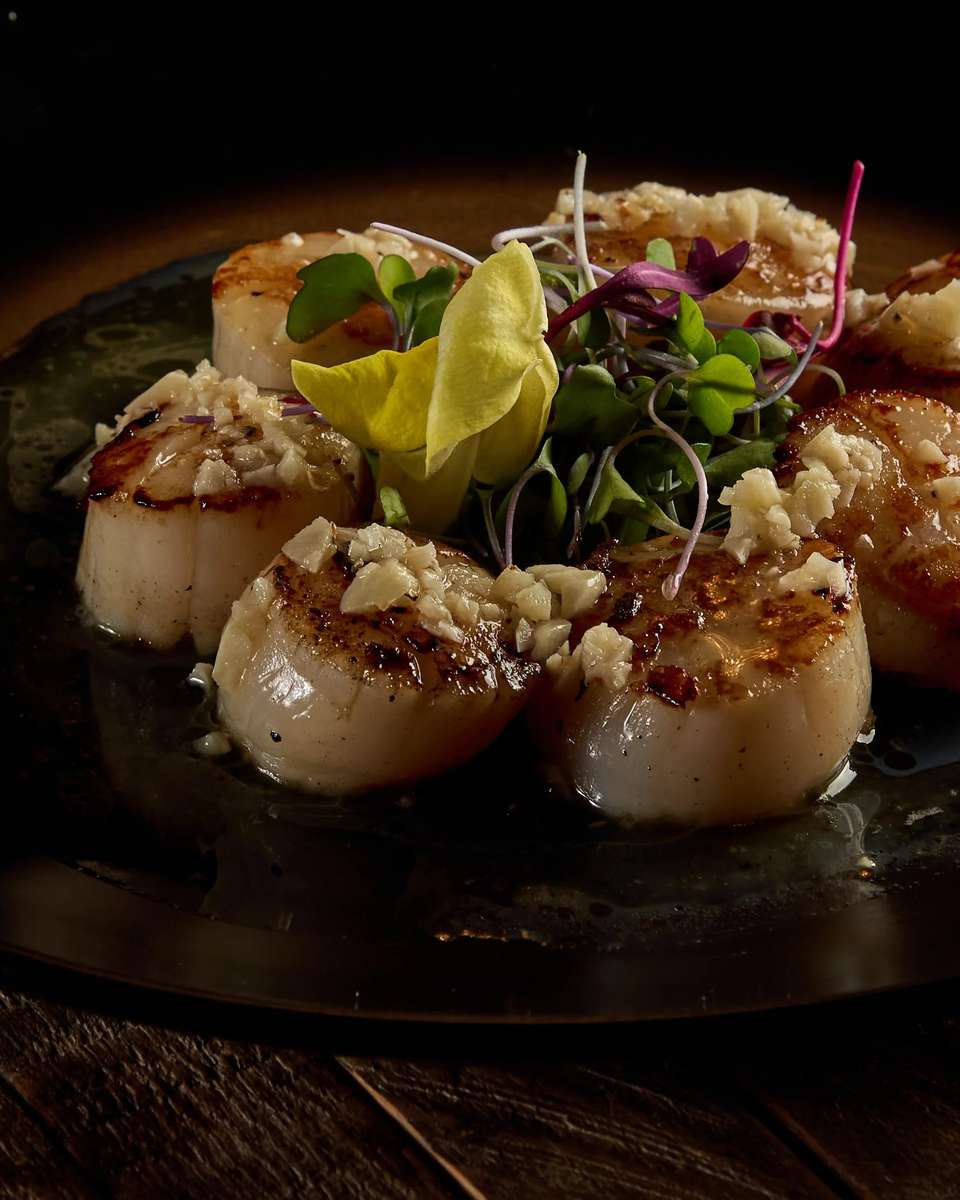 scallops