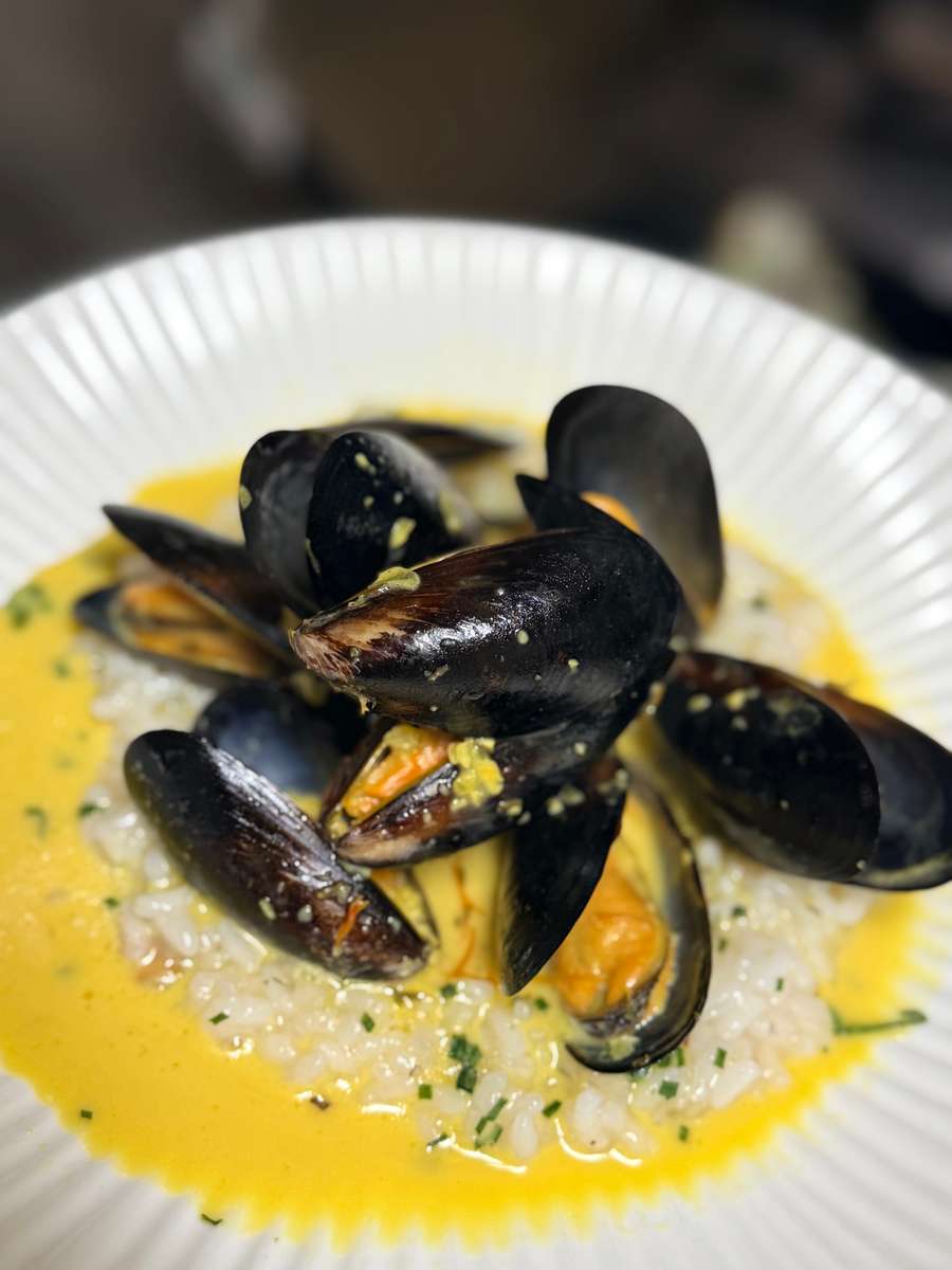 Mussels