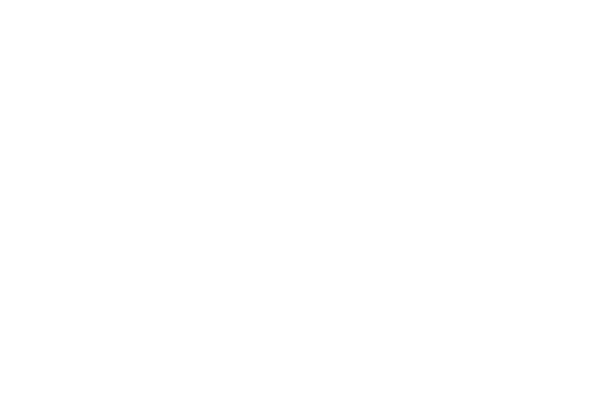 white logo header