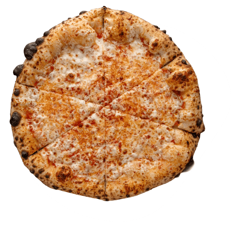 MOZZ sourdough cheese pizza