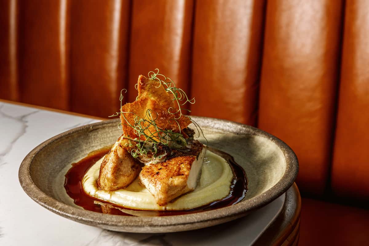 Gourmet plated chicken dish with mashed potatoes and sauce at an upscale restaurant