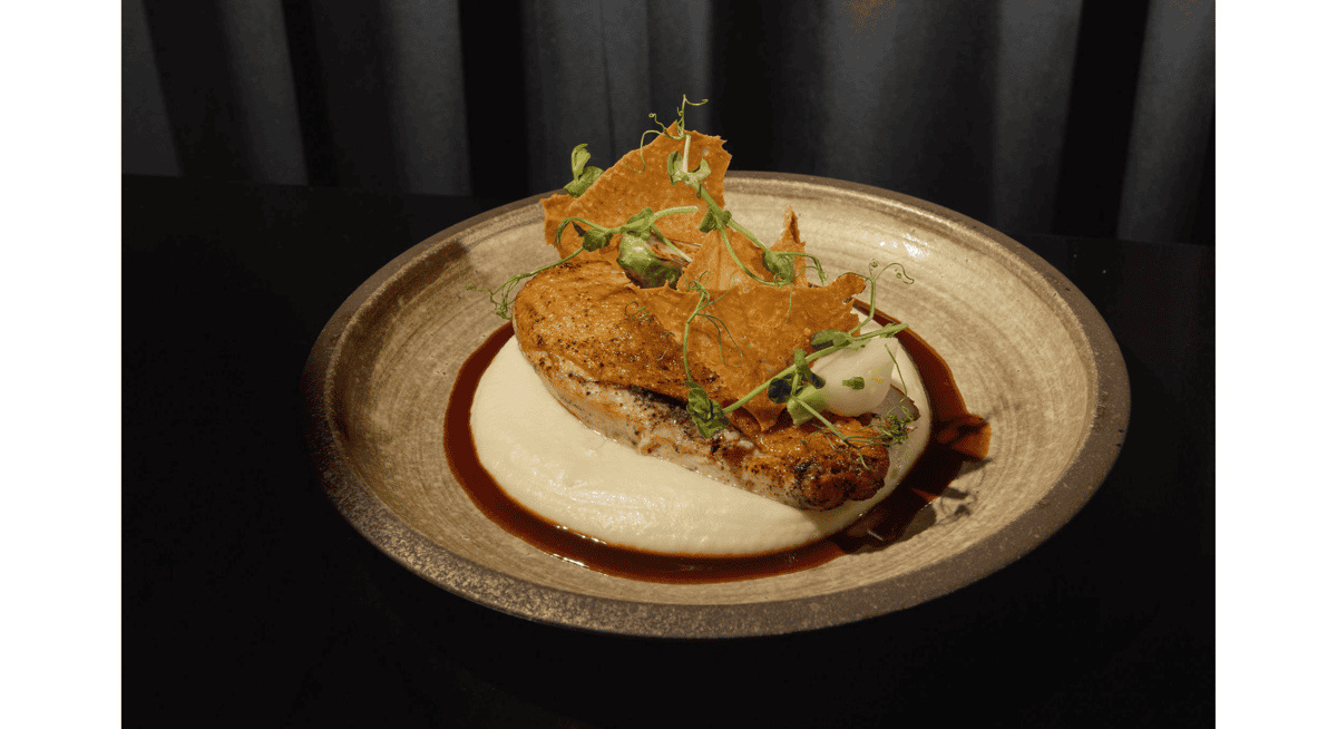 Seared salmon plated over smooth purée with rich sauce and microgreens, reflecting Miami's fusion of coastal ingredients and refined culinary technique.