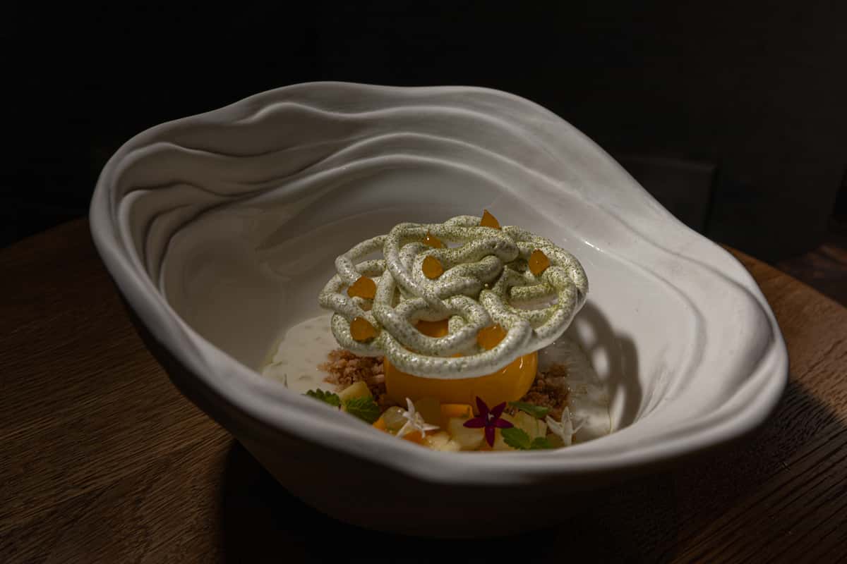 Modern gourmet dessert served in an artistic white bowl as part of an elevated dining experience.