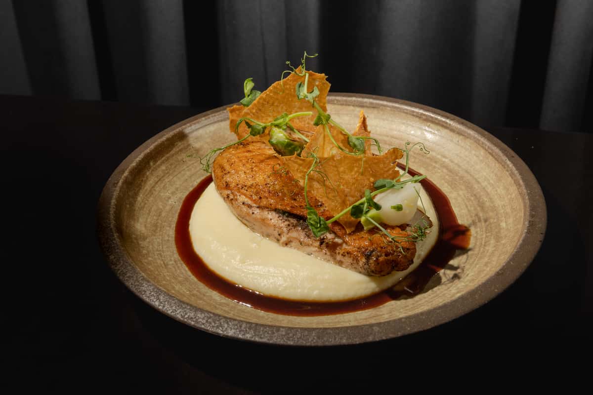Pan-seared chicken served with mashed potatoes, red sauce, crispy garnish, and herbs