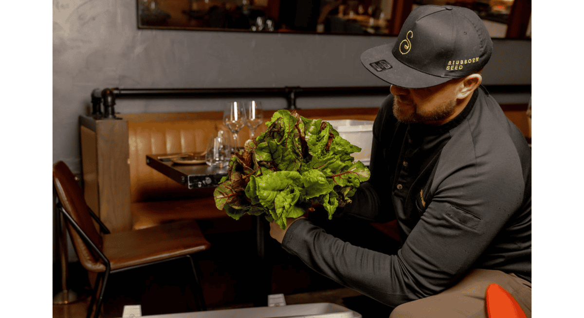 Chef holding fresh leafy greens in a restaurant kitchen emphasizing farm-to-table ingredients.
