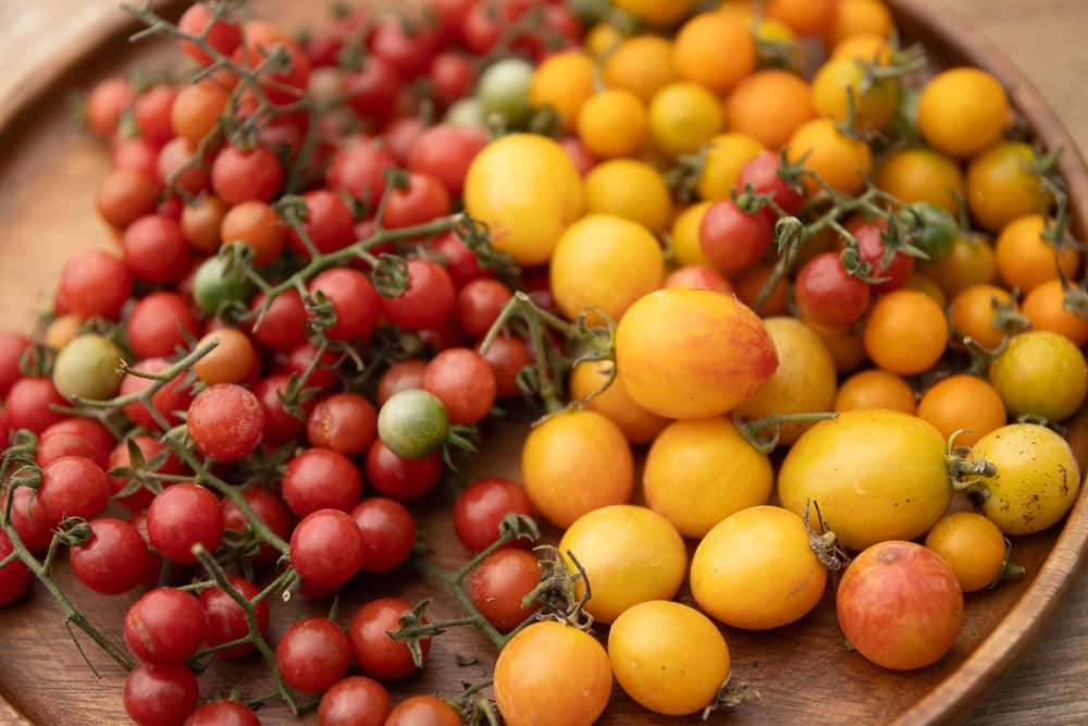 Assorted red, yellow, and orange cherry tomatoes arranged on a wooden tray.