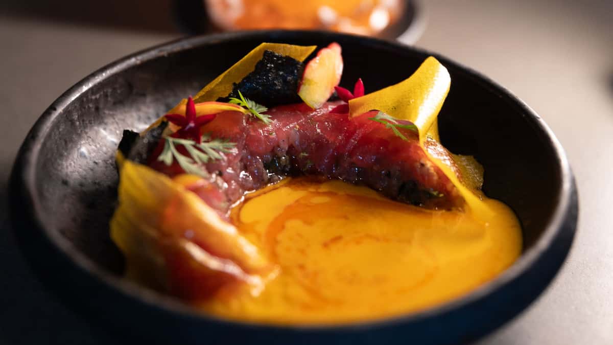 Why Is Stubborn Seed Considered an Ideal Spot for Intimate Dining During the Holidays