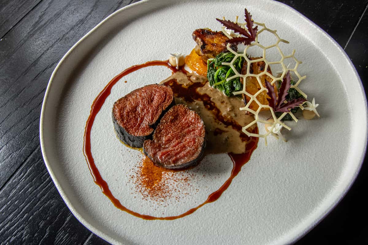 Gourmet seared meat entrée with sauce and artistic fine dining presentation