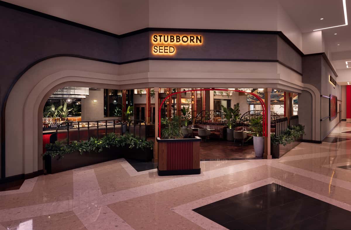 Stubborn Seed restaurant entrance with illuminated signage and modern dining interior