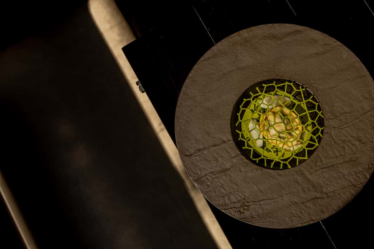 Gourmet dish with green geometric garnish on a dark plate under dramatic lighting