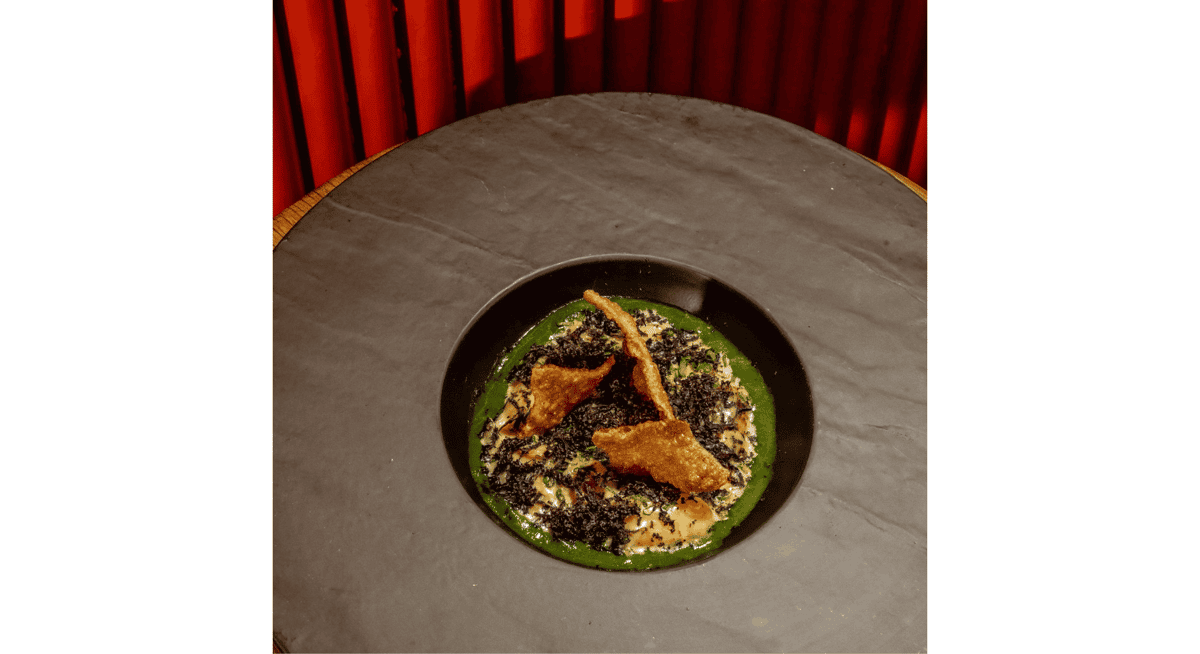 Artfully plated pasta topped with shaved black truffle and crispy garnish over vibrant green sauce at Stubborn Seed Miami.