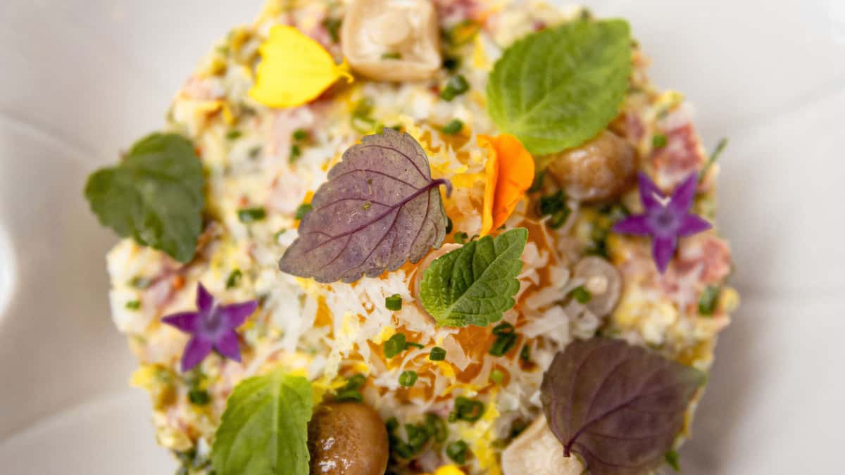 Why Is Stubborn Seed at the Heart of Miami's Michelin-Star Status Scene