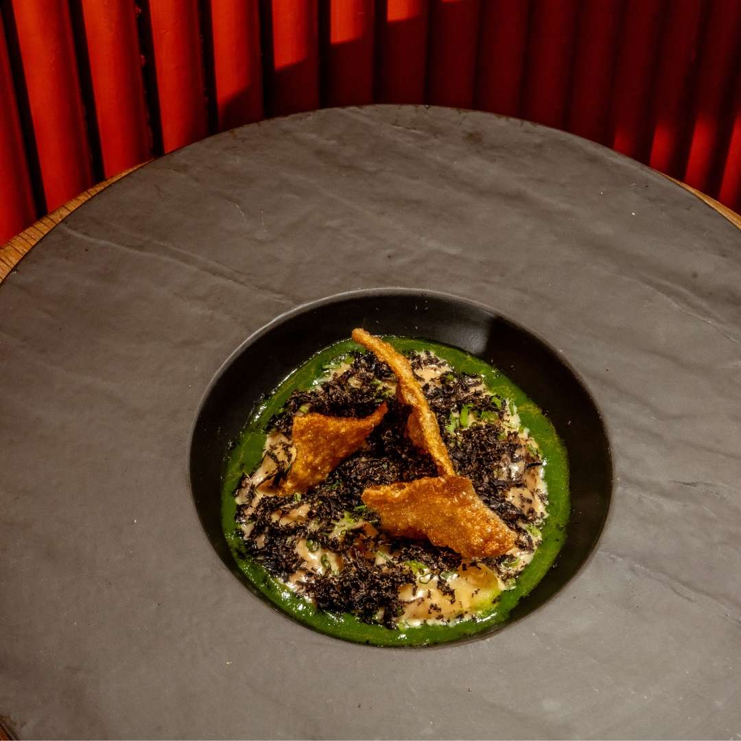 Fine dining entrée with seared chicken, creamy purée, rich sauce, crispy garnish, and microgreens elegantly plated.