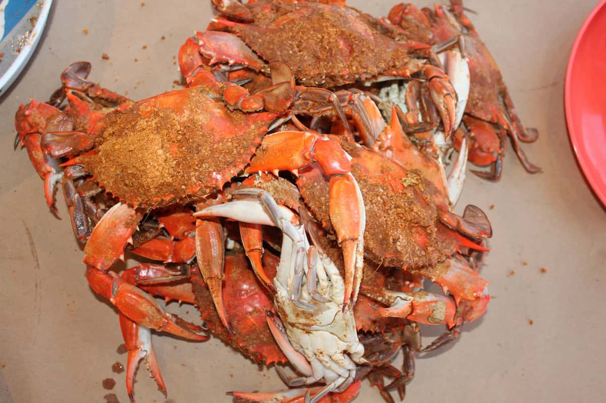 crabs in a plie