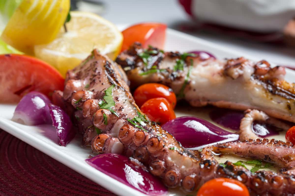 octopus