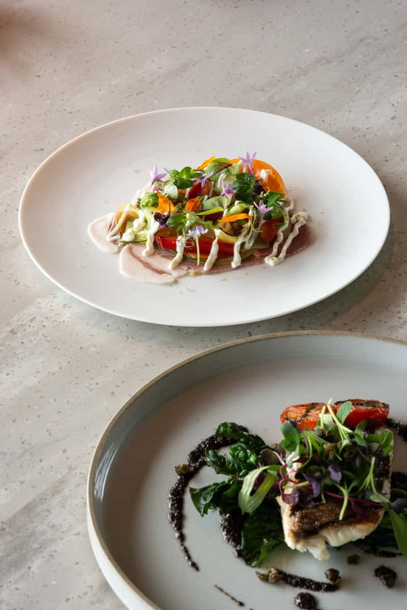 Colorful gourmet dish featuring fresh vegetables, leafy greens, and delicate garnishes arranged over a savory base on a white ceramic plate.