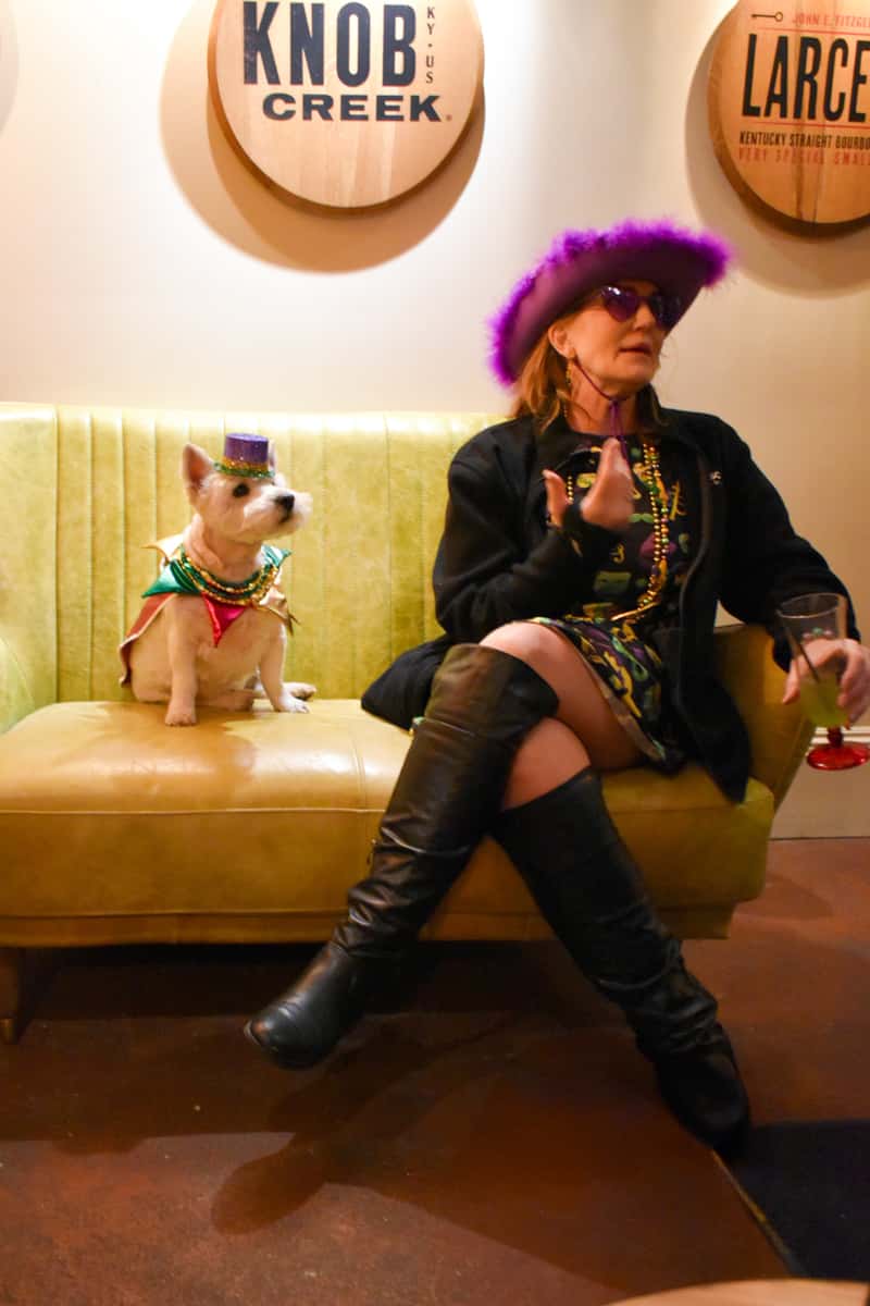 Guest in Mardi Gras attire sits beside a small dog on a bench inside Lou Lou on Market in NuLu, Louisville.