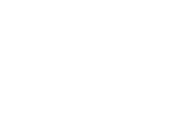 pizza slice graphic