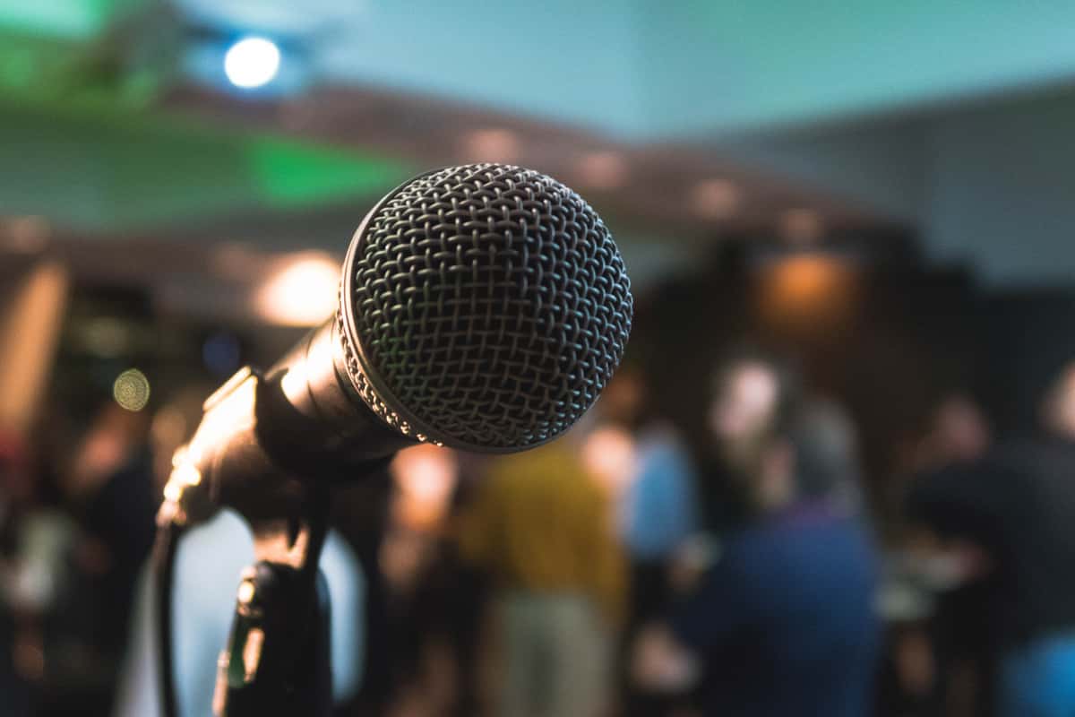 Mic Stnad
