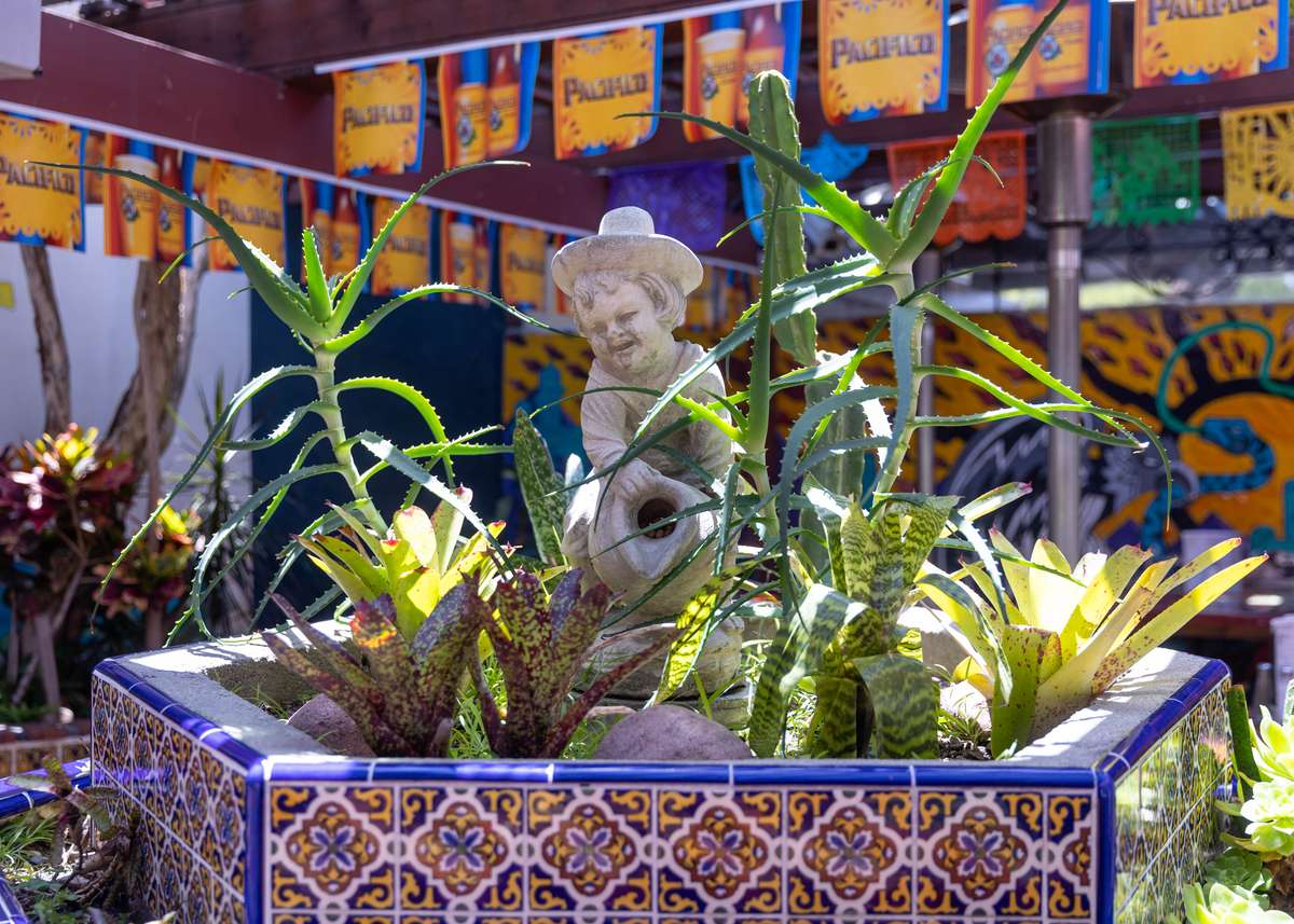patio