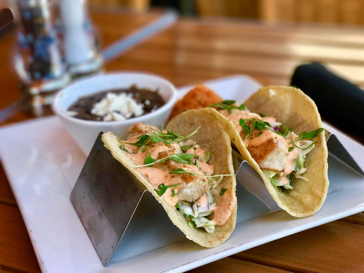 FISH TACOS The Bungalow Restaurant Steak House in Newport