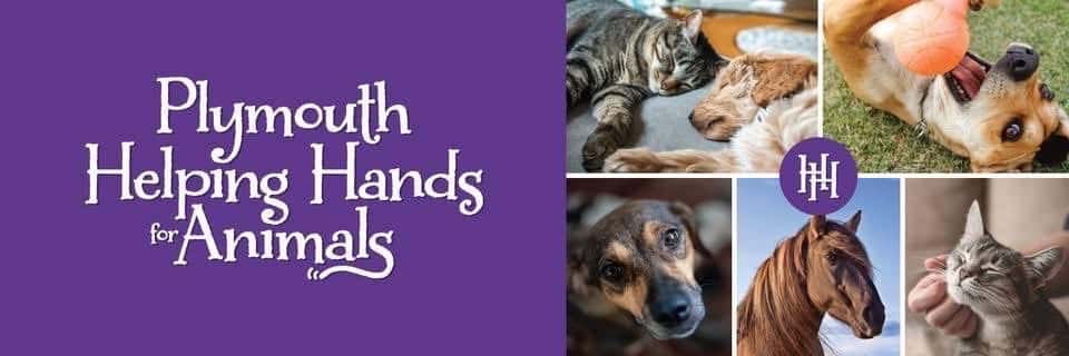 Helping Hands for Animals with pics