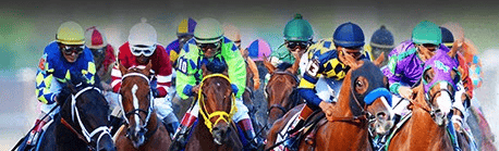 horses racing image