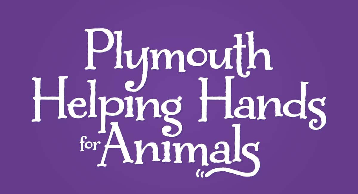 plymouth helping hands for animals