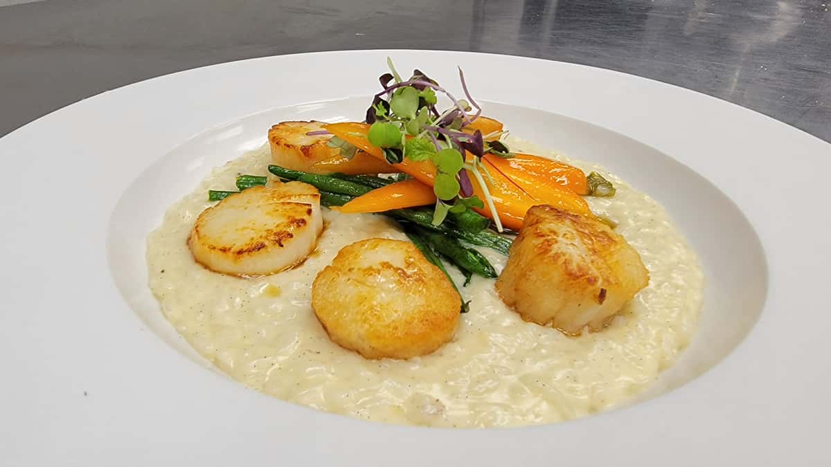 vanilla bean and scallop risotto