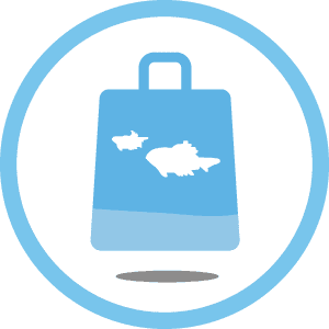 vector image of carryout bag