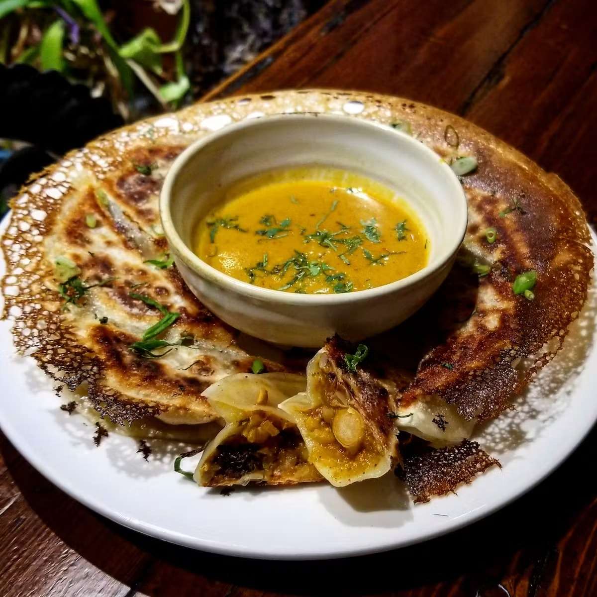 Image of pan fried Aloo Gobi Dumplings with Coconut curry