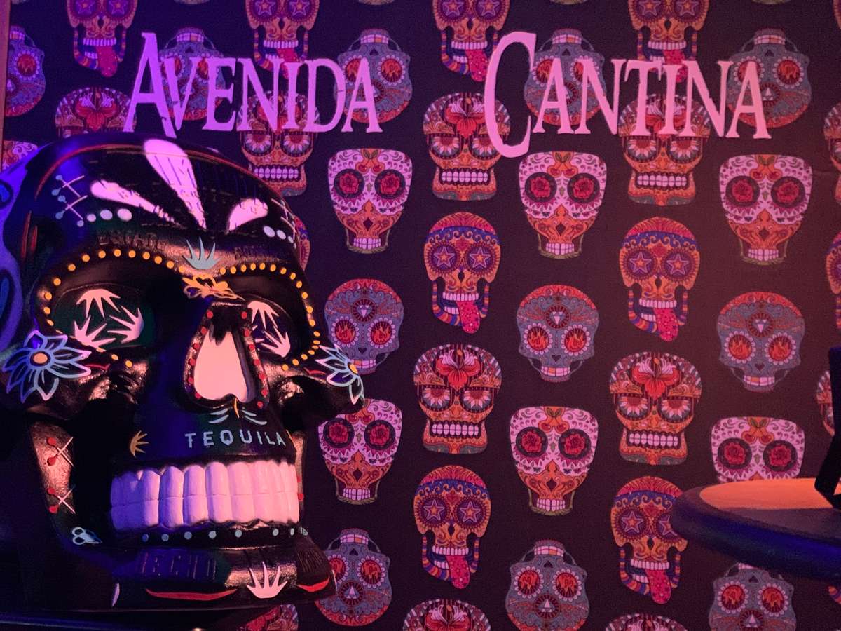 Avenida Cantina Day of the Dead skull