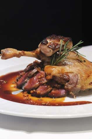 lamb