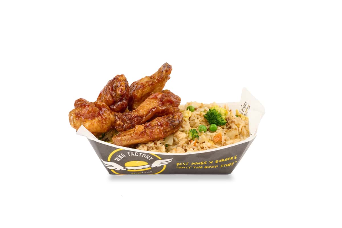 Rice & Wing Combo