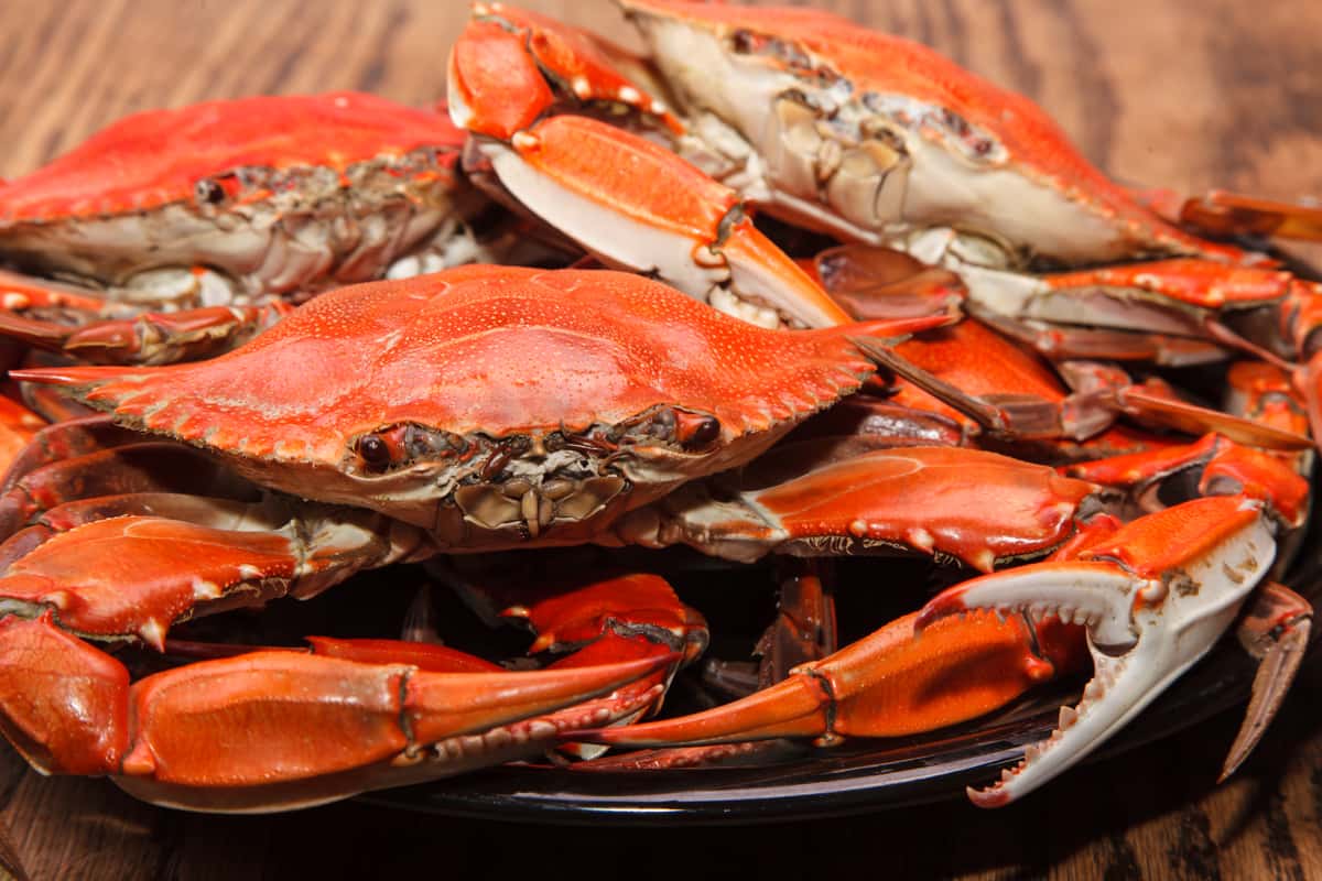 Crabs