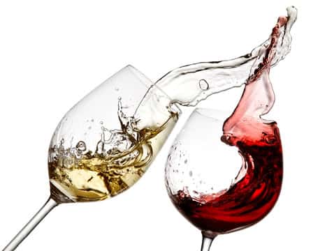 vino