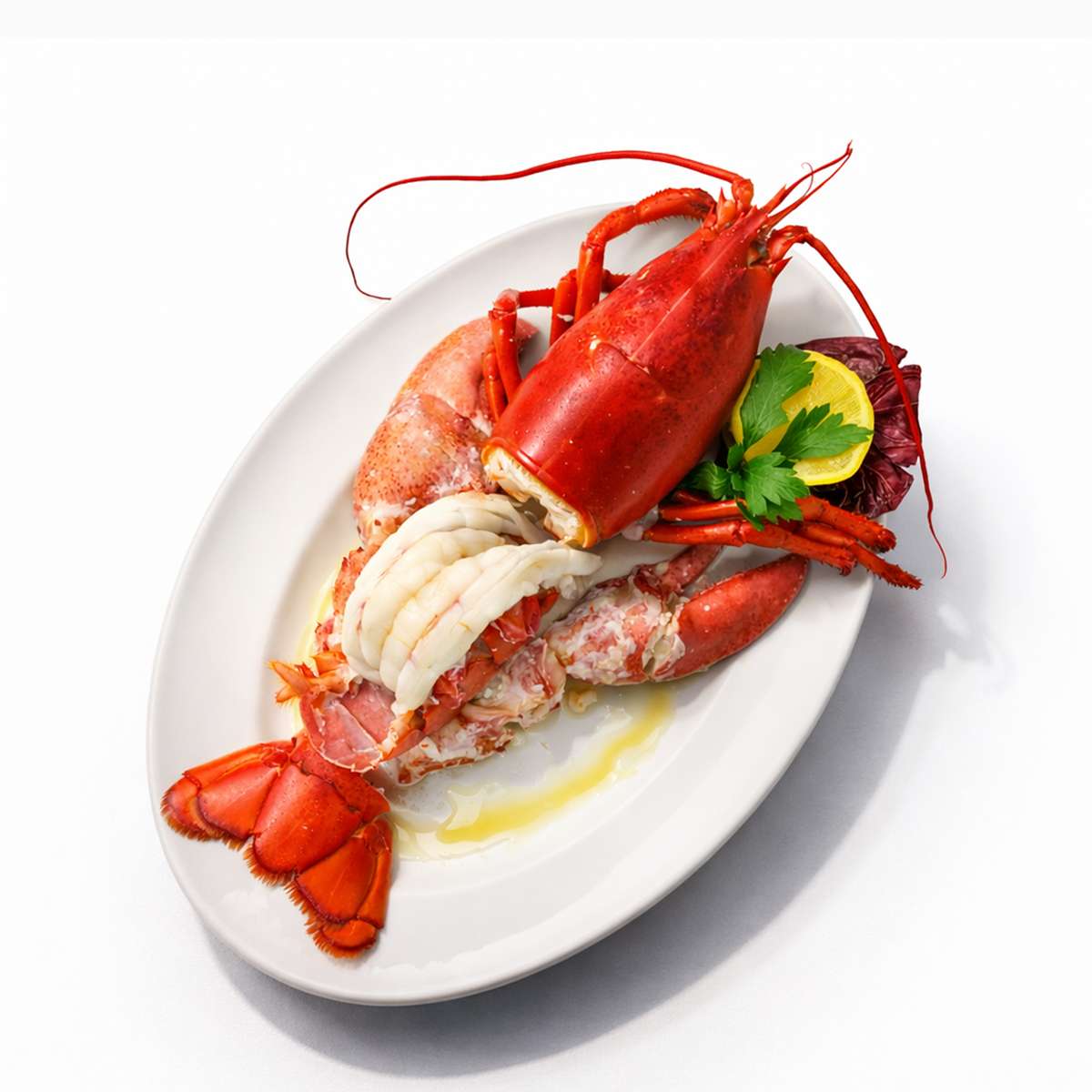 Whole Lobster at Big Blue