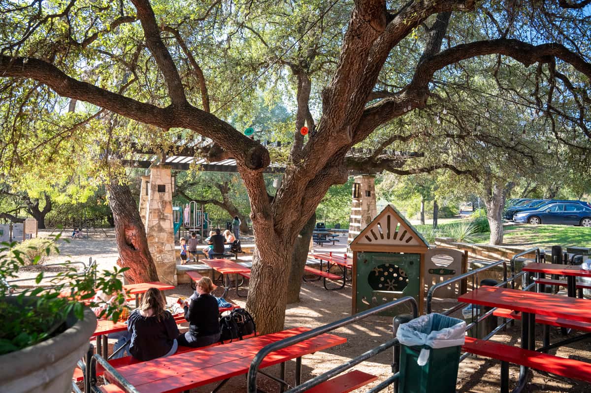 Best Patio in South Austin, TX