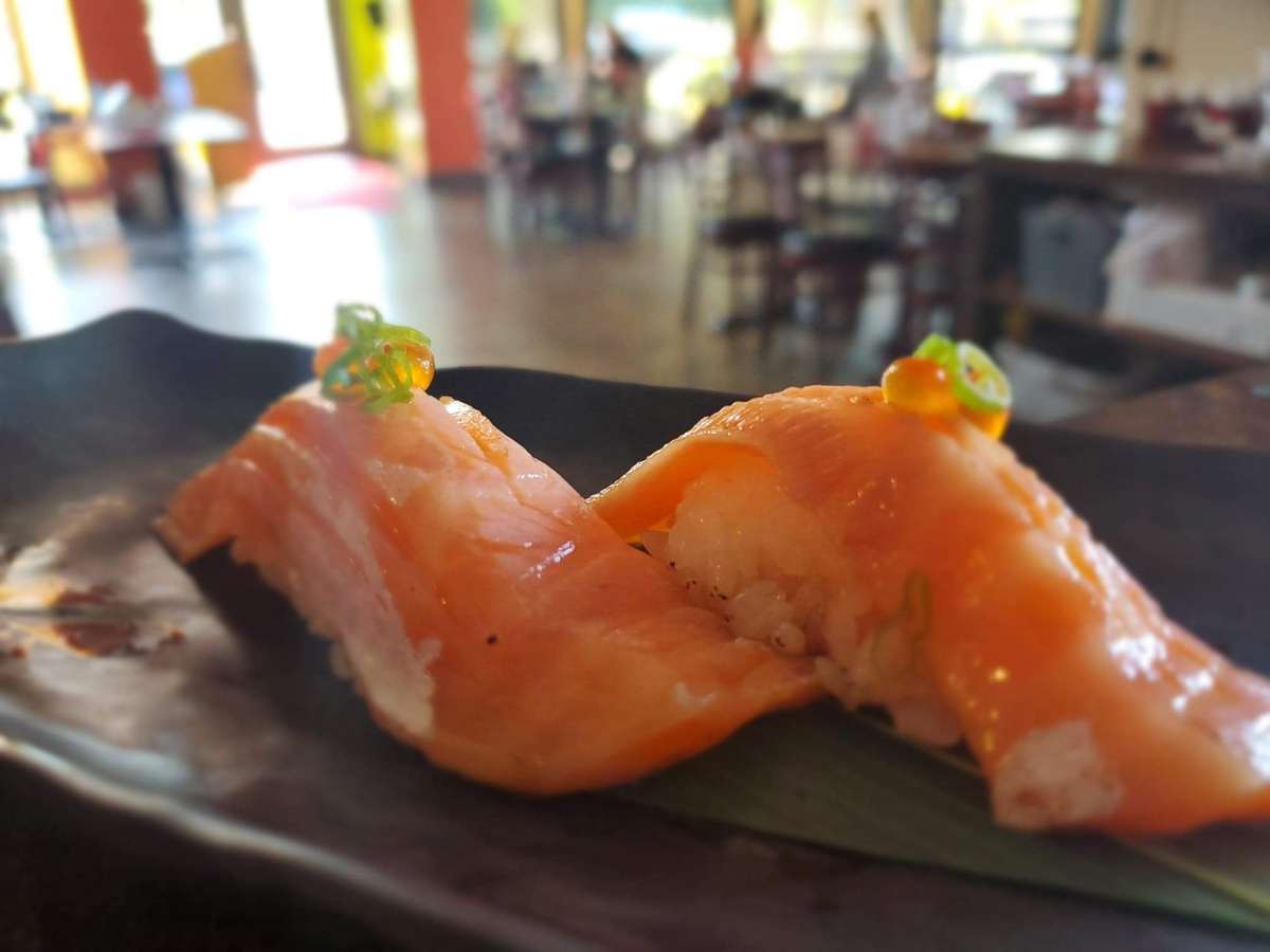 salmon