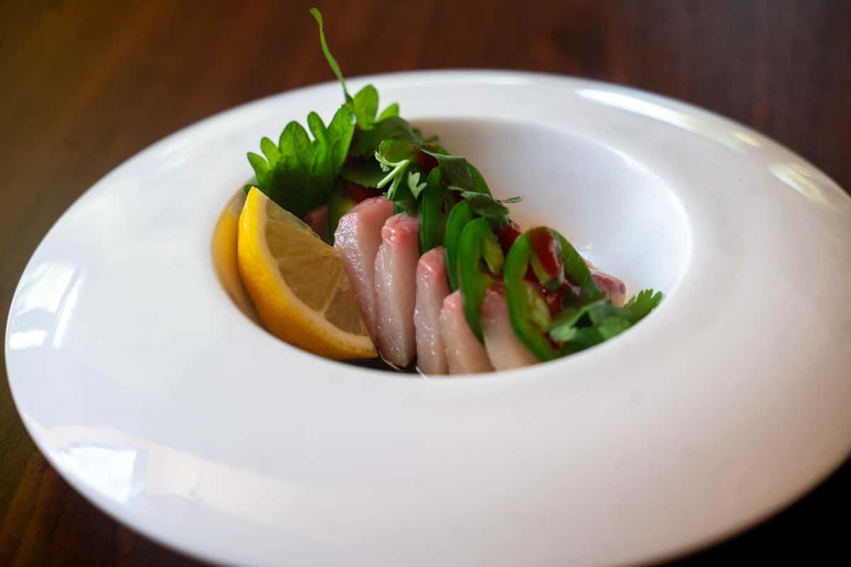 yellowtail