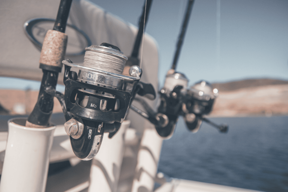 fishing