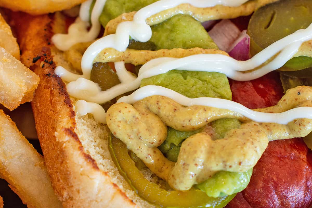 Sonora Dog